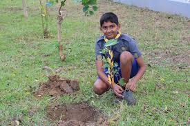 বৃক্ষরোপণ কর্মসূচি